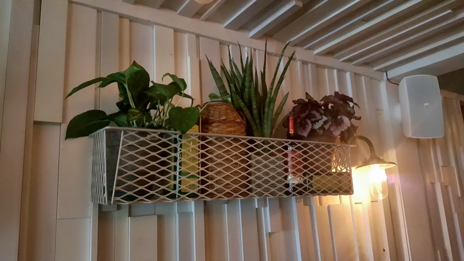 Stalen plantenbak met strekmetaal aan de wand, Restaurant Kleine Parade