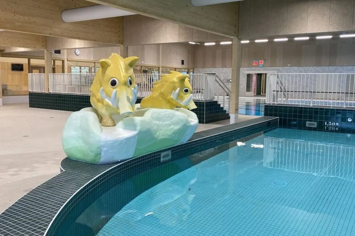 Special themafiguren de wiltsangh van Pooljoy